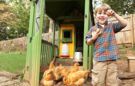 Boy with chickens, egg and chicken coop in backyard smiling and showing egg