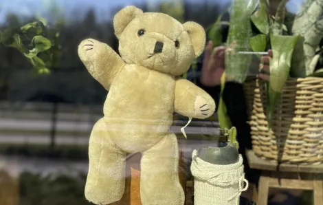 teddy-bear-window-seattle-area-families-helping-neighbors-kindness-community