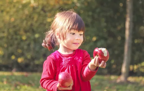 Small girl holding apples looking at one with bite in it apple and cider events Seattle kids families