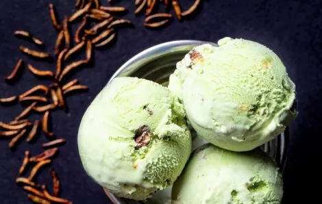 Salt & Straw's seasonal bug ice cream called Creepy Crawly Critters contains mealworms
