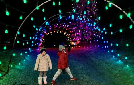 Kids standing under lighted archway at Dazzle Maple Valley light show winter 2020 Credit: Devon Hammer