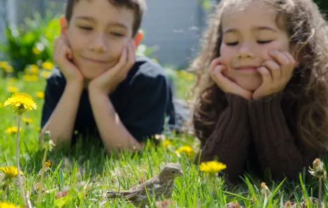 Boy and girl lying in the grass in their yard looking at a bird citizen science projects for Seattle families