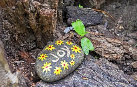 Rock painted with yellow flowers and the word "joy" sitting near the base of a tree presumably hidden for a painted rock search to find