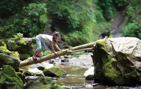 girl climbing on her hands and knees across a log spanning a creek in pacific northwest woods
