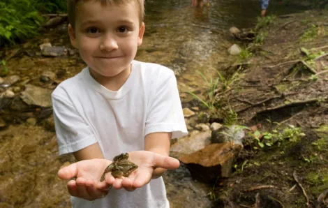 boy holding a frog with a creek and other kids in the background