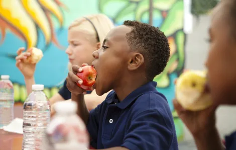 Boy blue shirt eating apple part of school lunch how to get more superfoods in kids' school lunches brain power focus stamina