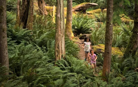 girls running on a trail in the woods seattle northwest hiking summer 2023
