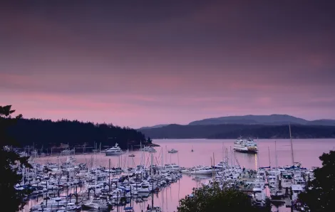 ferry sliding into friday harbor on san juan island at dusk during a purple sunset