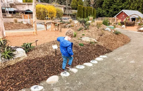 A young boy in a blue jacket balances on stepping stones at Little Explorers Nature Play Garden new play spot inside Tacoma's famous Point Defiance Zoo & Aquarium