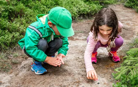Two kids picking up a bug on a hiking trail.