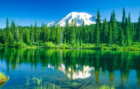 Beautiful Mount Rainier in Washington near Seattle short hikes for kids and families beautiful reflection lake