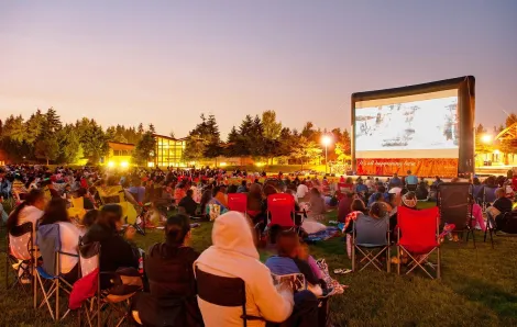 People relax at a park watching Seattle outdoor movies in summertime