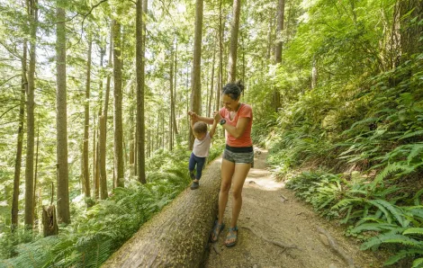 A mom dressed in running clothes stands along a wooded trail. She is holding the hands of her young toddler who is walking along a large fallen tree as sunlight filters through the woods