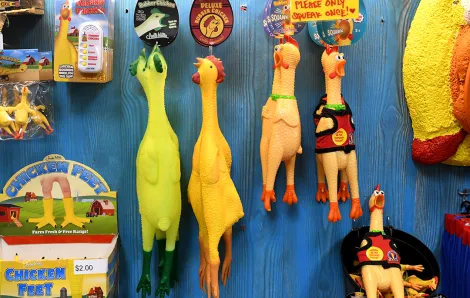 Rubber chicken toys hang on the wall at Seattle's Archie McPhee, a weird and wacky store celebrating its 40th anniversary in 2023