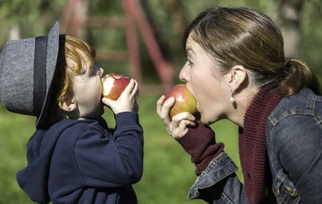 At a fall festival in Seattle a mom and son eat apples together celebrating the season