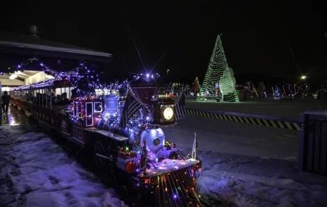 Best Seattle outings for families in December 2023 include Holiday Magic at The Fair which features a train ride and lighted trees
