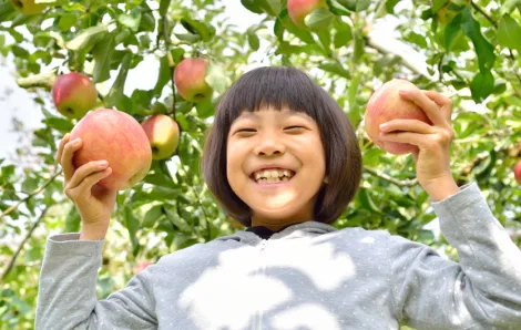 Young girl in an apple tree holding apples in both hands and smiling