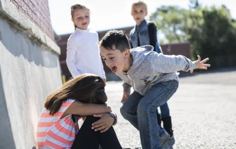 kid being a bully at school