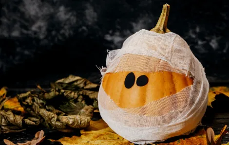 mummy pumpkin