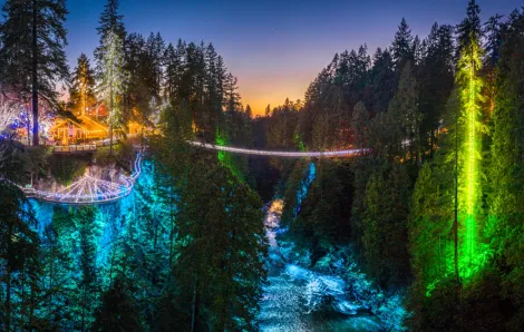 Canyon lights at Capilano Suspension bridge park