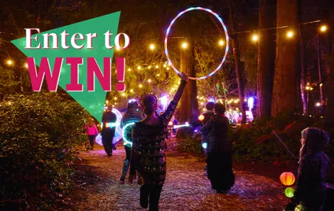 "Enter to Win!" text over Wintertide festival of lights