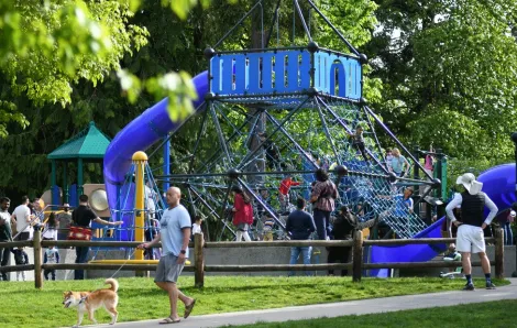 families on staycation in Redmond playing on the playground at Grass Lawn Park