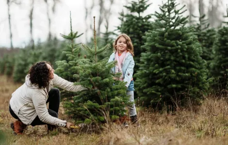 mom cutting a Christmas tree on a local farm near Seattle