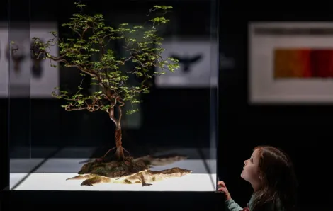 young girl stares up at a display in "Exquisite Creatures" in Seattle