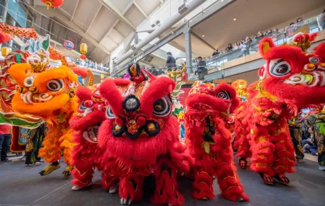 Traditional Chinese dragon lion dance lunar new year celebrations Seattle families 2026