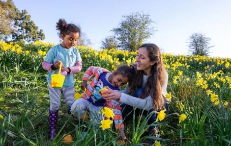 family outdoors finding easter eggs