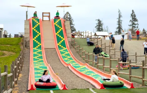 kids going down the mega slide during Baby Animals and Blooms Days at Maris Farms