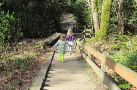 best-stairway-walks-families-seattle-bellevue-eastside-kelsey-creek-farm-park