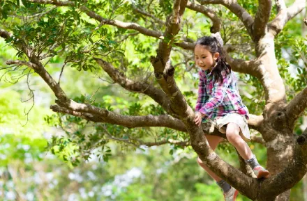 Young-Asian-girl-climbing-a-tree