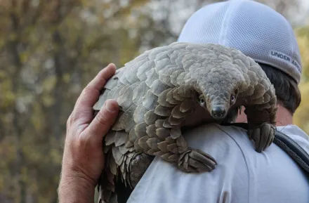 Kulu with her human guardian