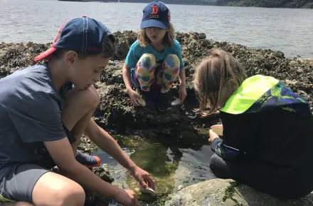 kids at a tide pool looking at creatures in the Seattle area