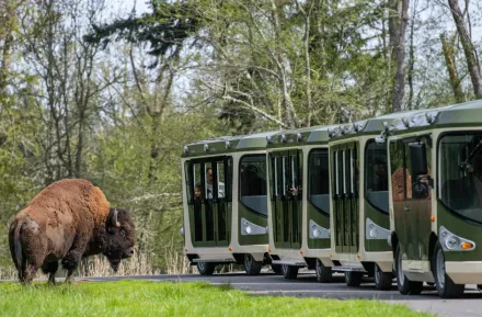 people riding the electric tram at Northwest Trek Wildlife Park in Eatonville