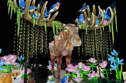 young child admires flower lantern under large moose at WildLanterns entrance during 2025 display