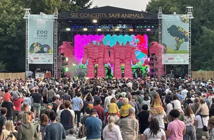 The Flaming Lips at ZooTunes