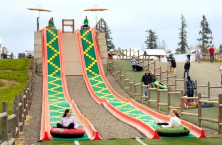 kids going down the mega slide during Baby Animals and Blooms Days at Maris Farms