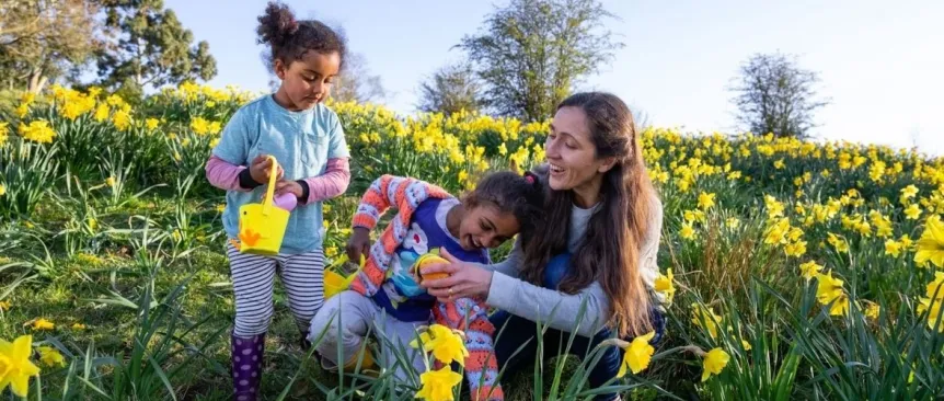 family outdoors finding easter eggs