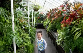 volunteer park conservatory kid in fern room