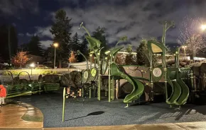 Inspiration Playground, Bellevue Downtown Park at night