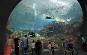 The Reef is one of the new exhibits at the Seattle Aquarium's new ocean pavilion