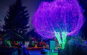 zoolights at Point Defiance Zoo & Aquarium