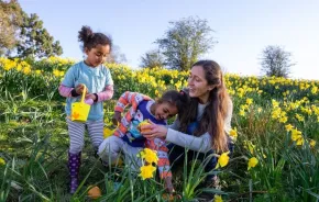 family outdoors finding easter eggs