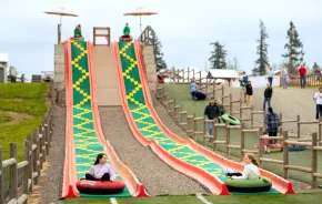kids going down the mega slide during Baby Animals and Blooms Days at Maris Farms