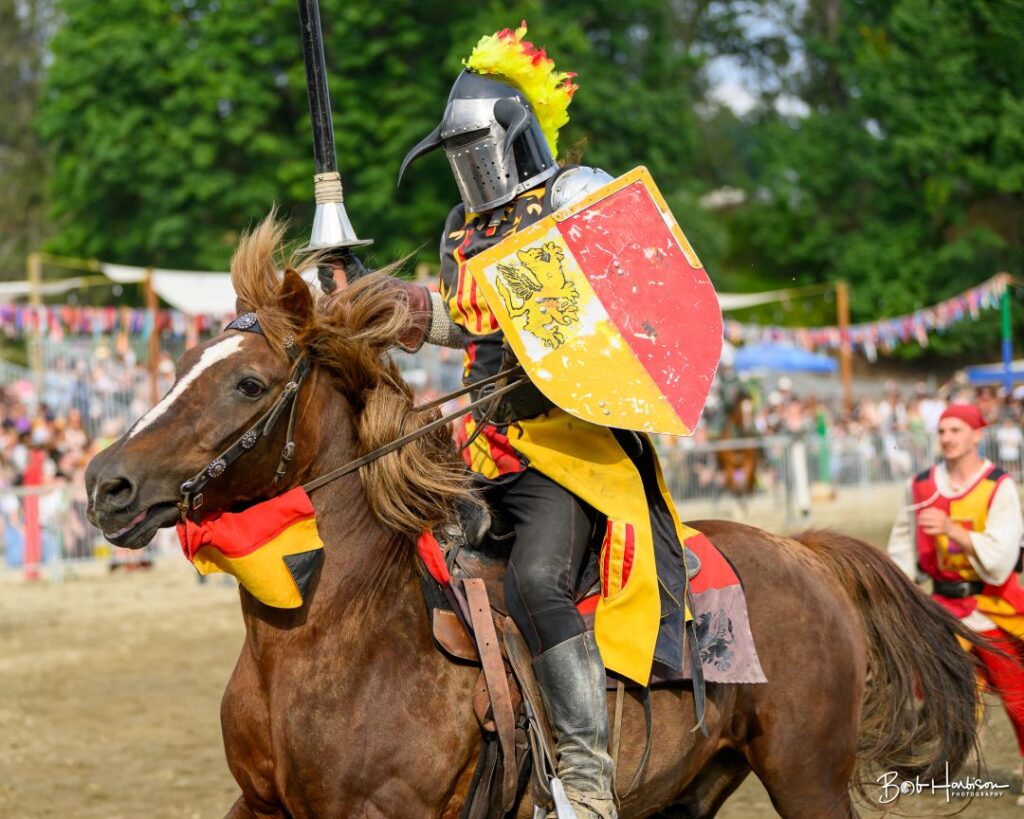 Washington Midsummer Renaissance Faire