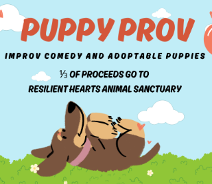 Puppy Prov