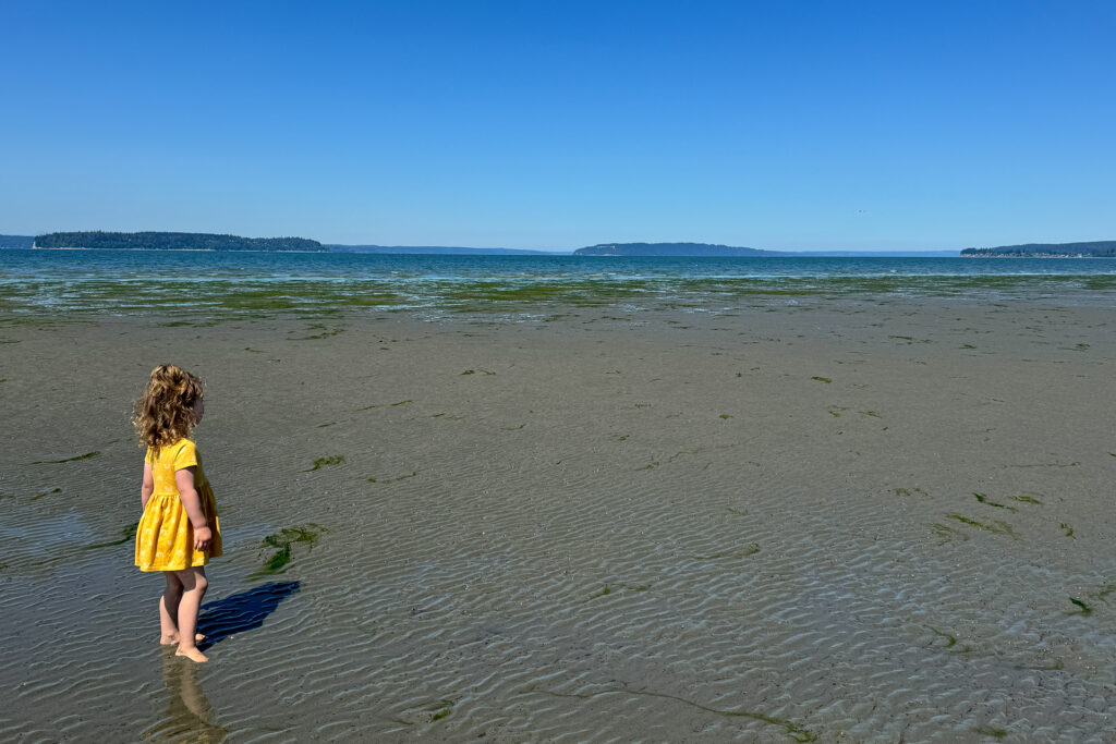 Jetty Island: One of Puget Sound’s Best Beaches for Summer Fun