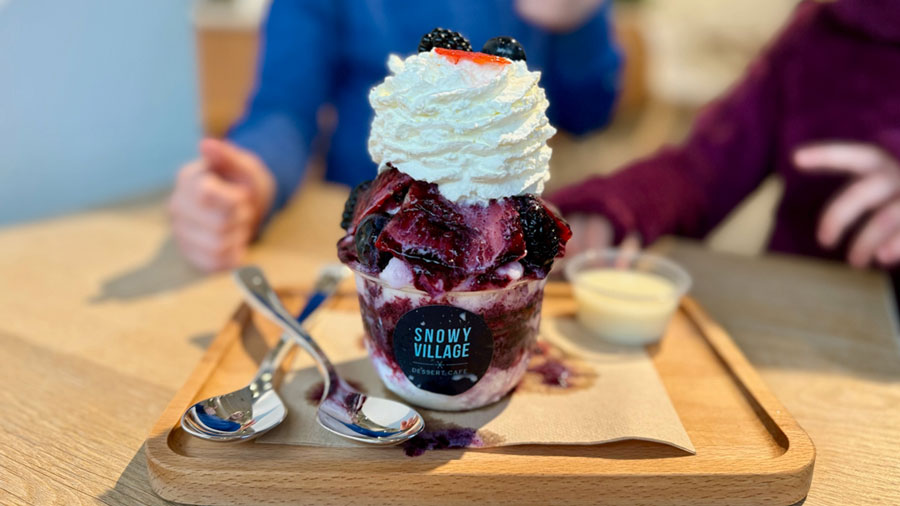 The berry bingsoo at Snowy Village, a Seattle dessert shop